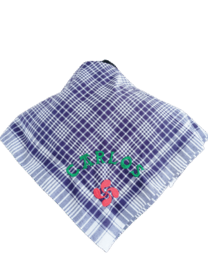 Pañuelo hierbas con lauburu y texto